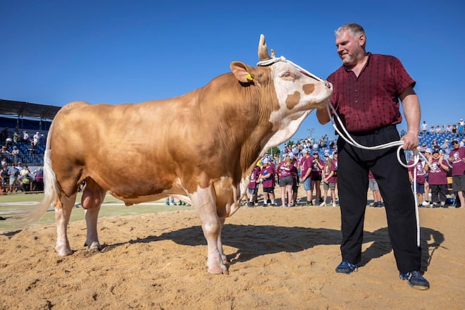 Christian Stucki, Seelädisches Schwingfest Lyss