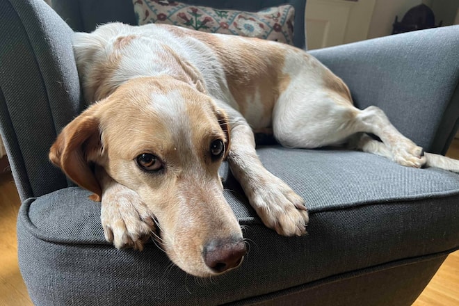 Sagen Sie mal mit Renato Kaiser