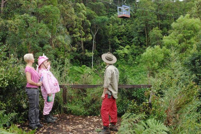 Ibes 2012 Dschungelcamp Tag 11