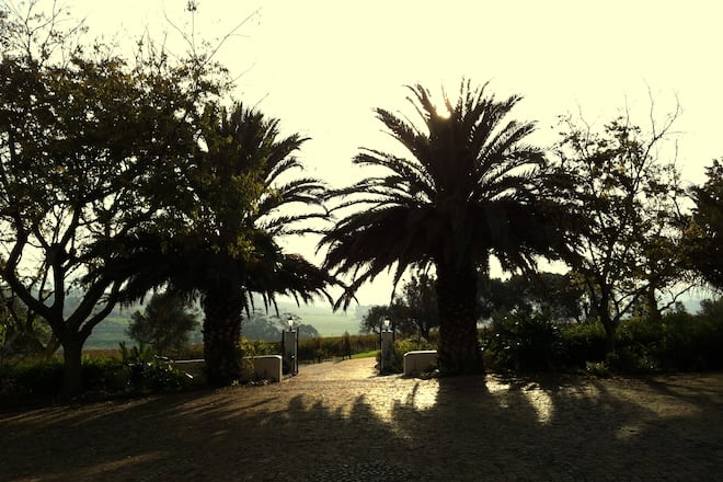 Blog Auswandern Südafrika Fotos Sacha von der Crone