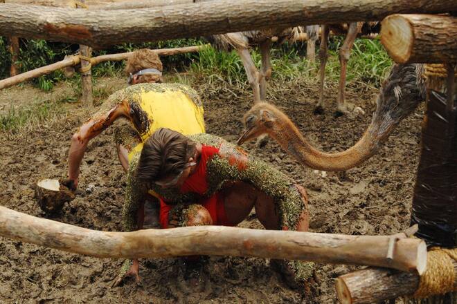 Dschungelcamp 2011 Tag 13