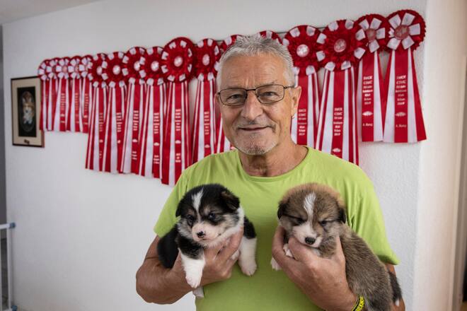 Hans Ulrich Häberli; Züchter "Welsh Corgi Pembroke"