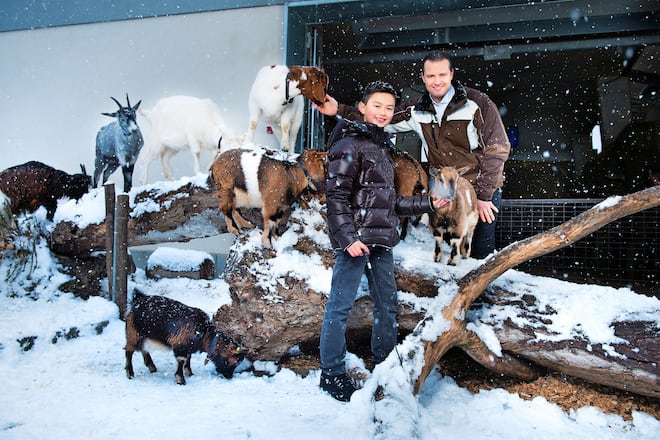 Familie Knie Stammbaum Zirkus Manege Vermögen