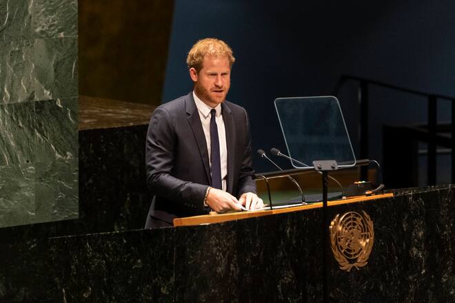 Prinz Harry bei seiner Rede vor der UN