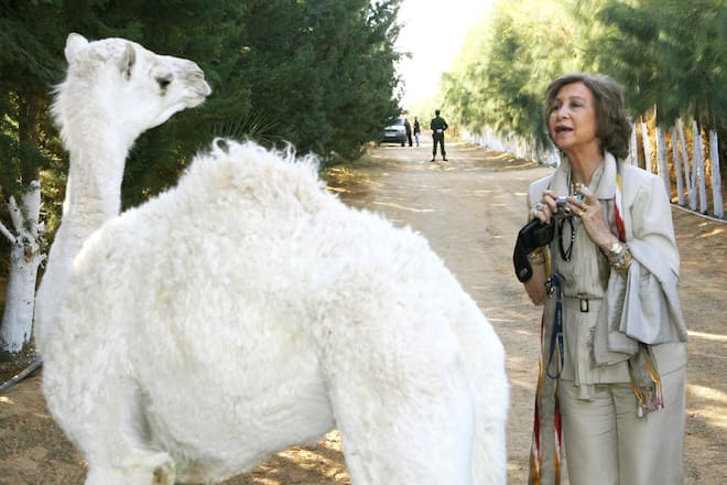 Königin Sofia Spanien