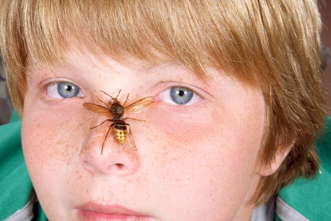 Bub mit Wespe im Gesicht