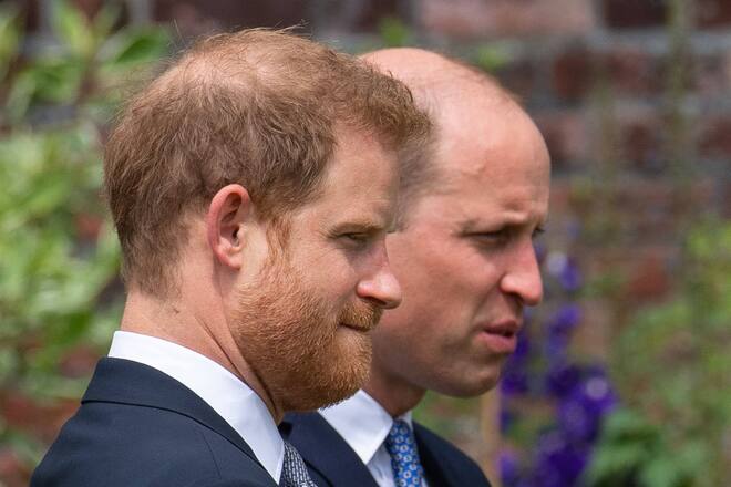 Prinz William und Prinz Harry mit lichtem Haupthaar