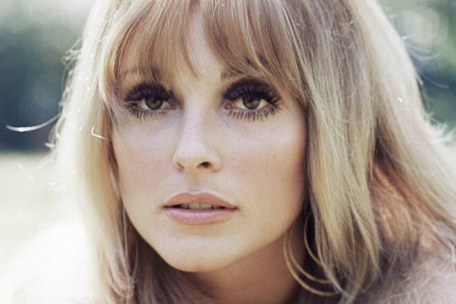 Headshot of Sharon Tate (1943-1969), US actress, circa 1965. (Photo by Silver Screen Collection/Getty Images)