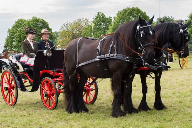 Lady Louise Gräfin Sophie von Wessex