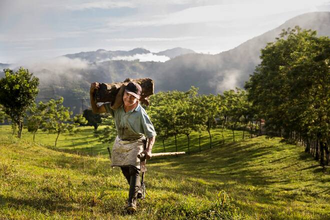 Nespresso Kaffee in die Tasse