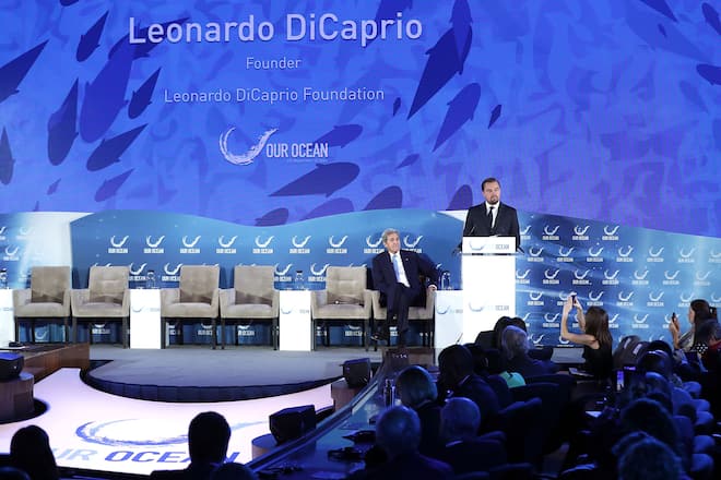 DiCaprio spricht im Namen seiner Umweltorganisation vor US-Politikern.
