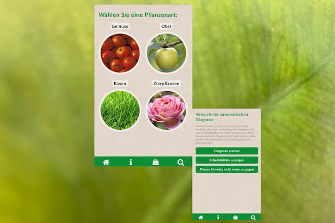 Pflanzen-App
