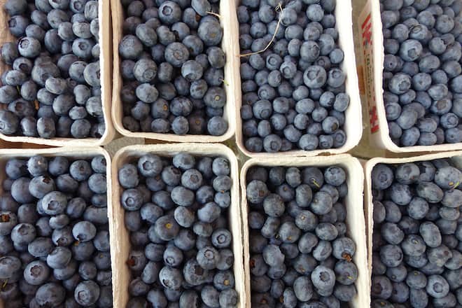 Acht Schalen mit Heidelbeeren *** Eight bowls with blueberries 1098301086