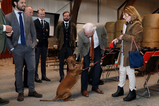 König Carl XVI Gustaf