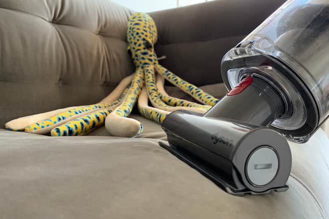 Dyson auf Sofa