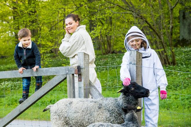 Kronprinzessin Victoria Prinzessin Estelle Prinz Oscar