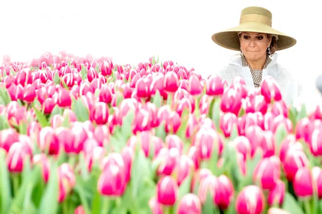 Queen Maxima during the State visit from Singapore to the Netherlands (Photo by DPPA/Sipa USA) *** Local Caption *** 24847121