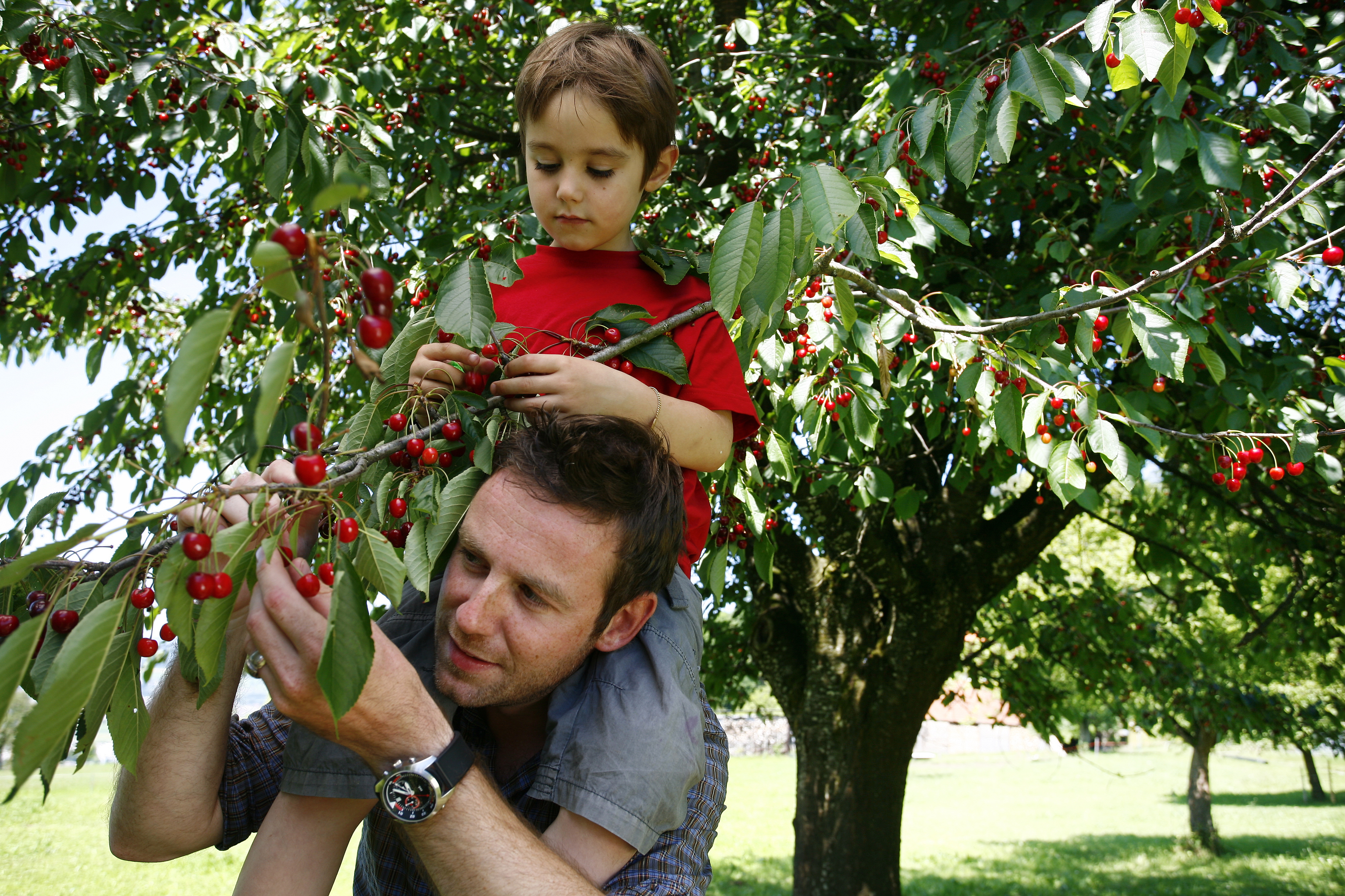 Nik Hartmann Zugerberg Chriesi