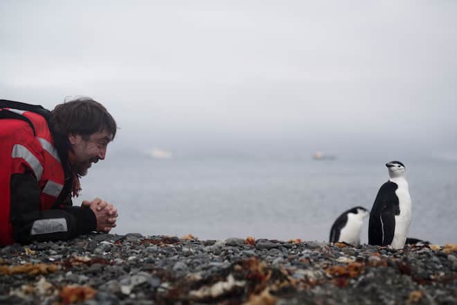Actor Javier Bardem looking at chinstrap penguins while arriving to King George Island in the Antarctic to join Greenpeace ship the Arctic Sunrise in a expedition in support of the largest protected area on Earth, an Antarctic Ocean Sanctuary.
