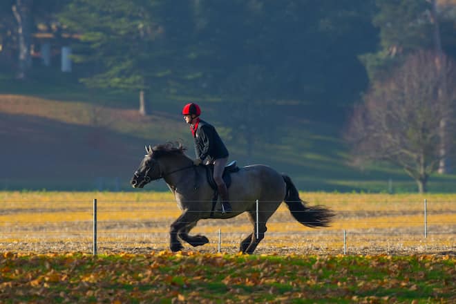 Prinz Edward (GB), bei einem morgendlichen Ausritt durch den Park von Schloss Windsor. Berkshire, Großbritannien. 17. November 2018