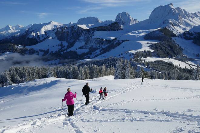 Selibühl-Panoramatrail