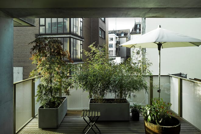 Loggia Terrasse mit Bambus