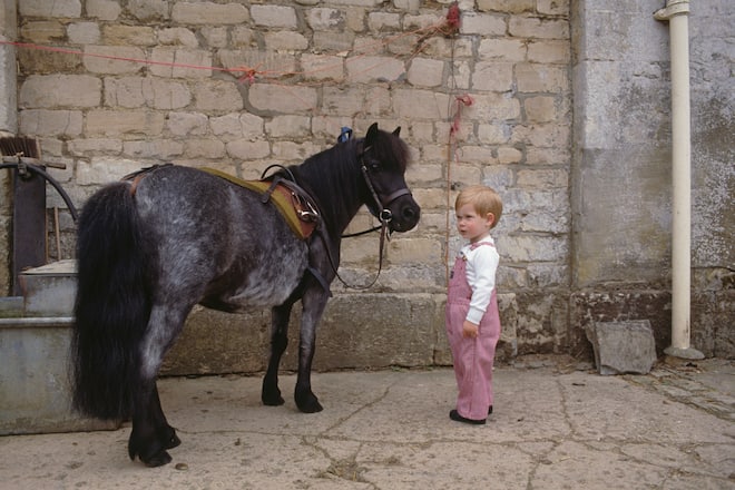 Prince William with his Shetland pony at Highgrove House in Doughton, Gloucestershire, 18th July 1986. (Photo by Tim Graham Photo Library via Getty Images)