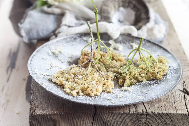 Baked elder flowers with icing sugar on plate PUBLICATIONxINxGERxSUIxAUTxHUNxONLY SBDF003015