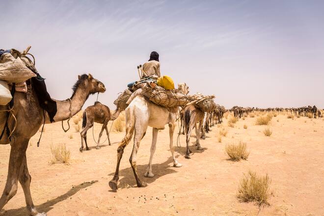 Karawane in Afrika