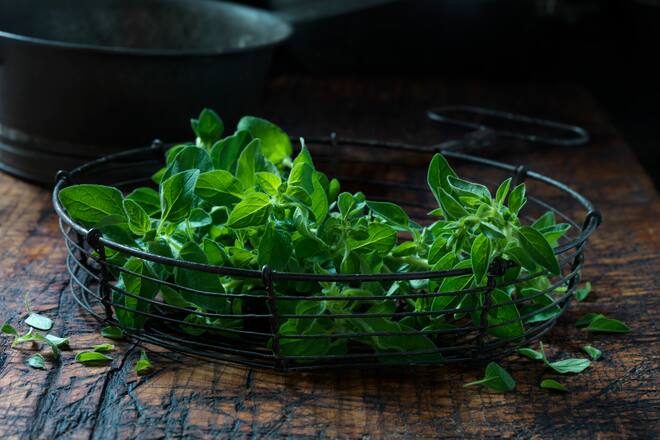 oregano