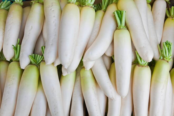 A detailed view shows carefully washed daikon white winter radishes displayed at a grocery by Shugakuin Railway Station, located in the Sakyo district of northeastern Kyoto, Japan.