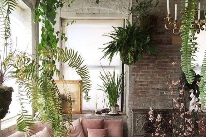 Wohninspiration Pflanzen
