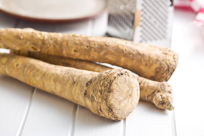 fresh horseradish root PUBLICATIONxINxGERxSUIxAUTxONLY Copyright: xjirkaejcx Panthermedia14234713
