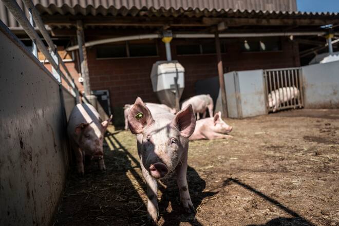 27.04.2021; Muhen; Thomas + Nicole Anliker-Lüthi - Lottenhof; © Valeriano Di Domenico