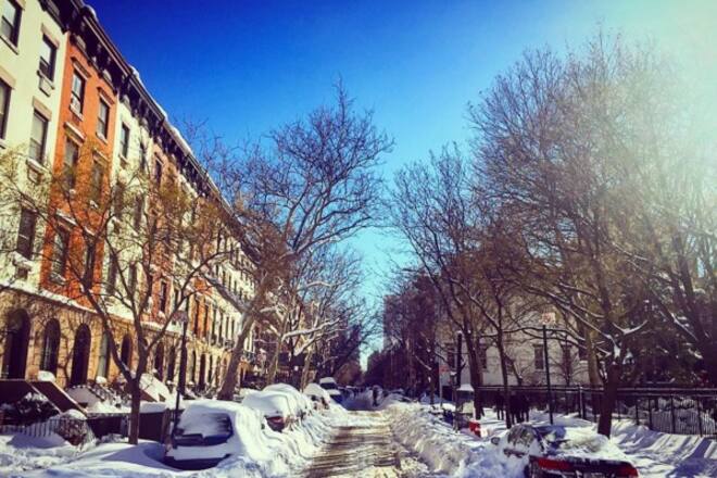 instatrend jonas blizzard