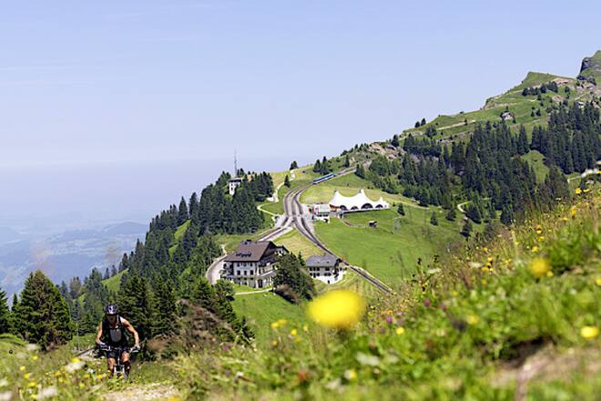 Vollmondwandern und Beizentour