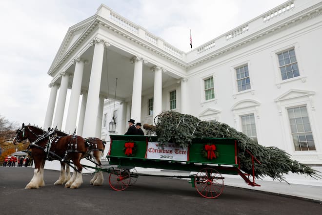 WASHINGTON, DC - NOVEMBER 20: First lady Jill Biden welcomes the official 2023 White House Christmas Tree at the White House on November 20, 2023 in Washington, DC. Biden was joined by military-connected families to receive the 18 and a half foot Fraser Fir from Fleetwood, North Carolina. (Photo by Anna Moneymaker/Getty Images)