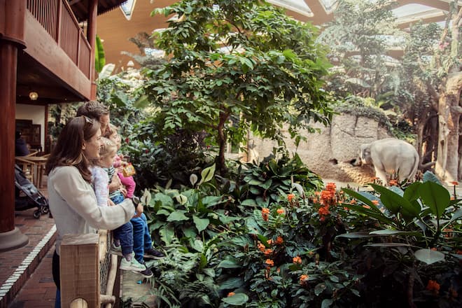 SI_Nicola Spirig und Family