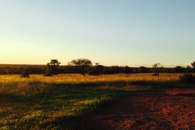 Bildergalerie Südafrika