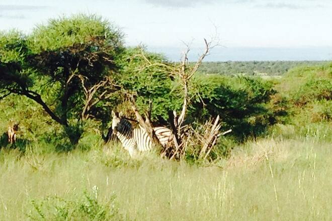 Bildergalerie Südafrika