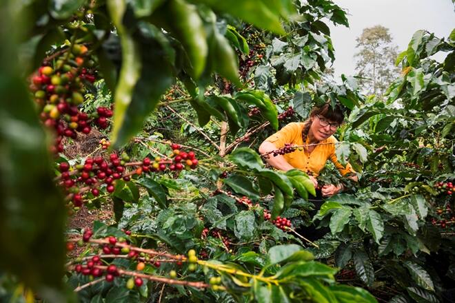 Nespresso Kaffee in die Tasse