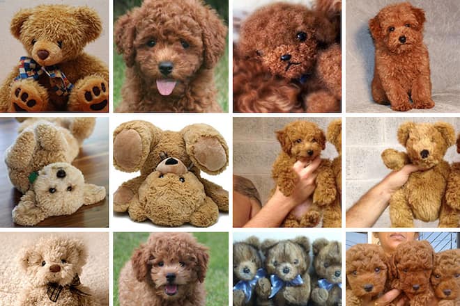 instatrend entweder oder