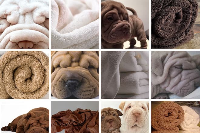 instatrend entweder oder