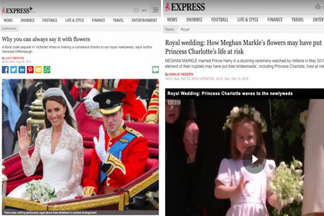 Meghan Kate Schlagzeilen