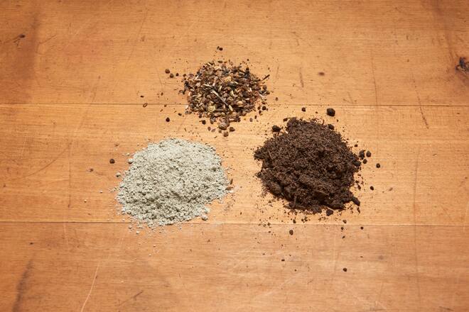 Seed Bombs Family Seiten