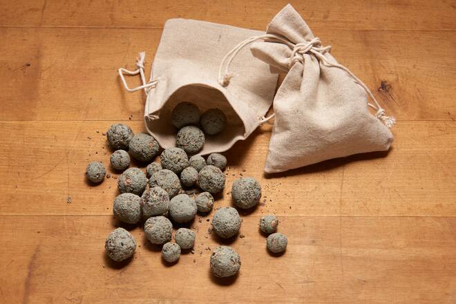 Seed Bombs Family Seiten