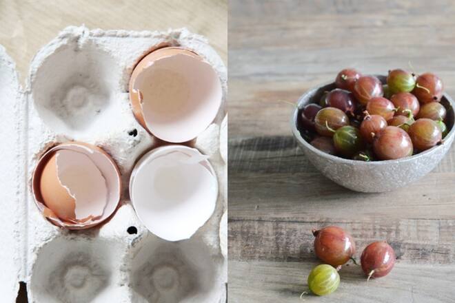 fork and flower x SI Style - Stachelbeeren