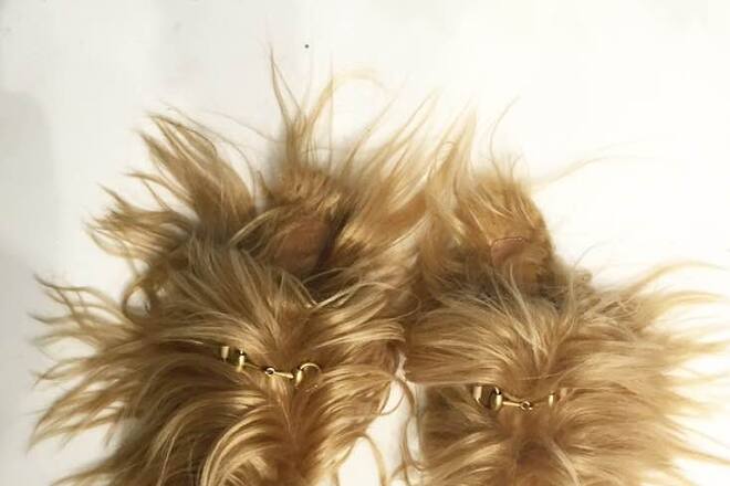 Editor's Diary Milano HW2015