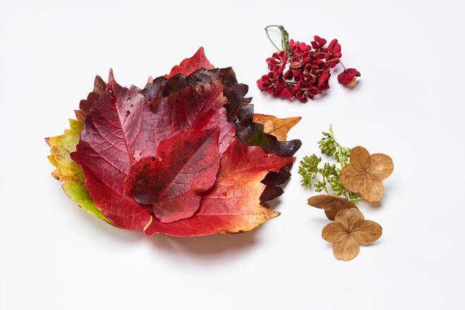 Selbstgemacht Blätter Herbst