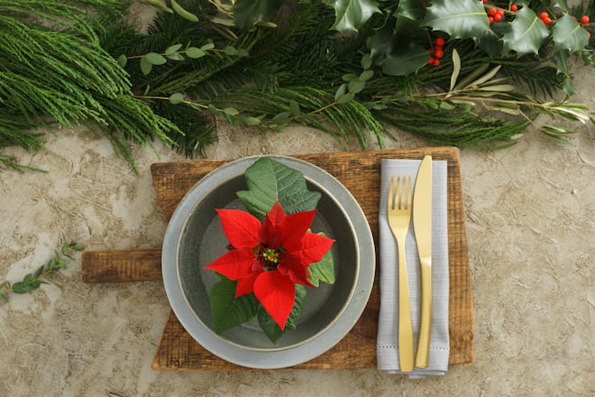 weihnachten,tischdekoration,weihnachtsstern,weihnacht,weihnachtsfest,x-mas,xmas,tischdeko,tischdekorationen,tischdekos,tischschmuck,adventsstern,adventssterne,christstern,christsterne,euphorbia pulcherrima,poinsettie,weihnachtssterne *** christmas,table decoration,poinsettia,merry christmas,x-mas,xmas,table decorations,poinsettias sj7-g2l